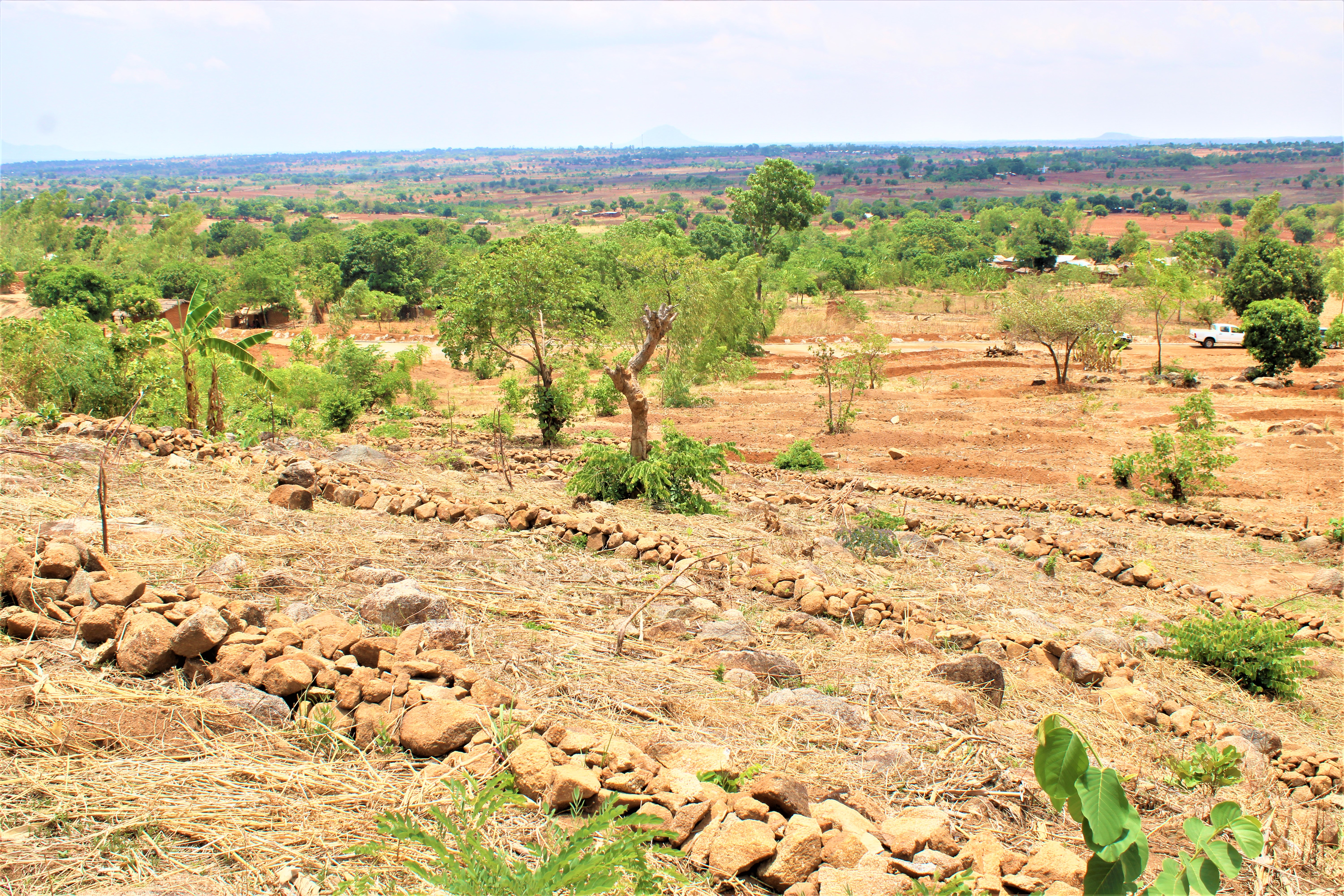 Communities have constructed Stone bunds to control the flow of water. (Credit: Felix Malamula, ERASP/PRIDE)
