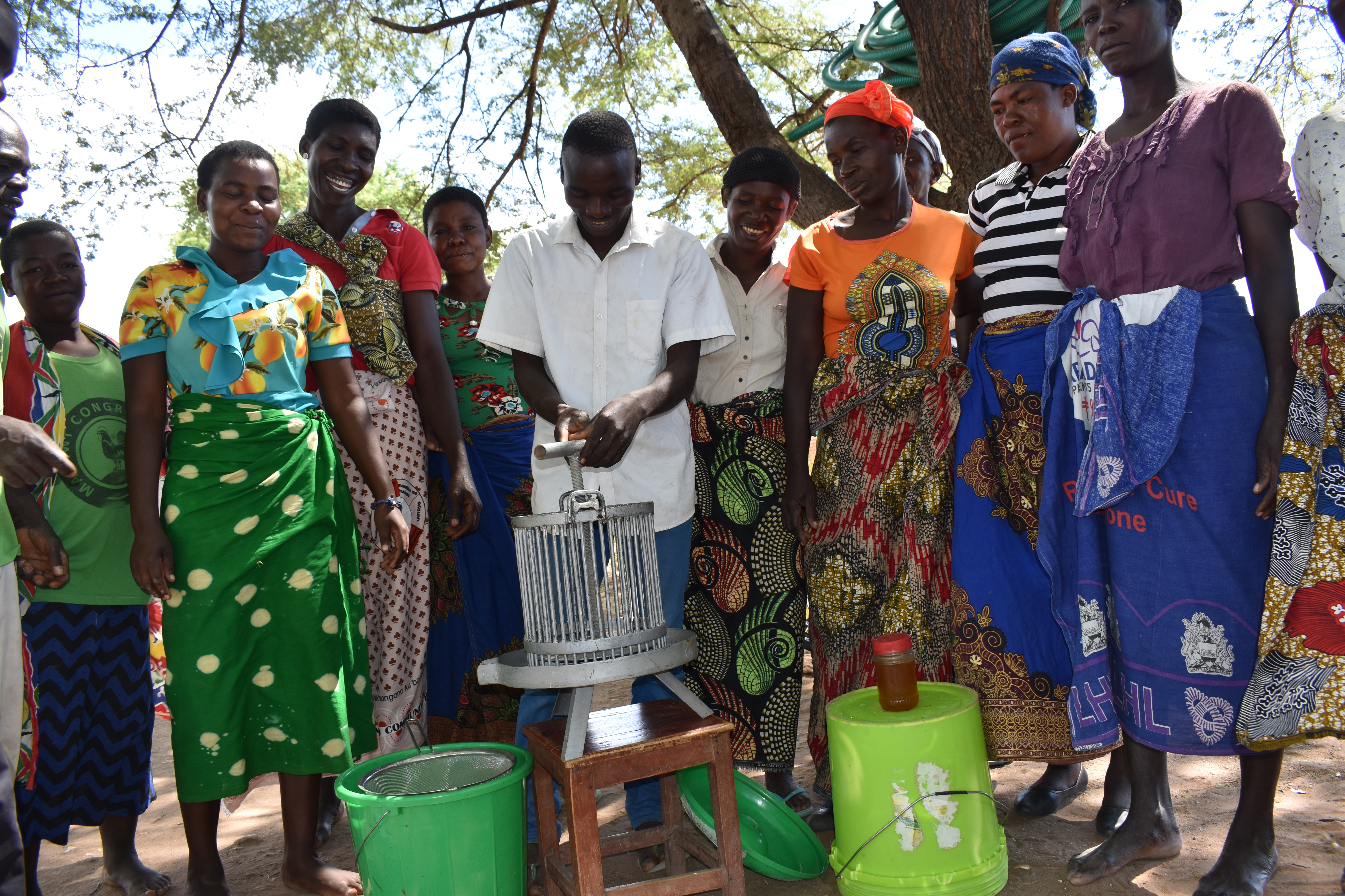 With 10 new beehives, the Dikeni Club yielded 20 litres of honey worth 57 000 Malawi Kwacha (approximately USD 80).