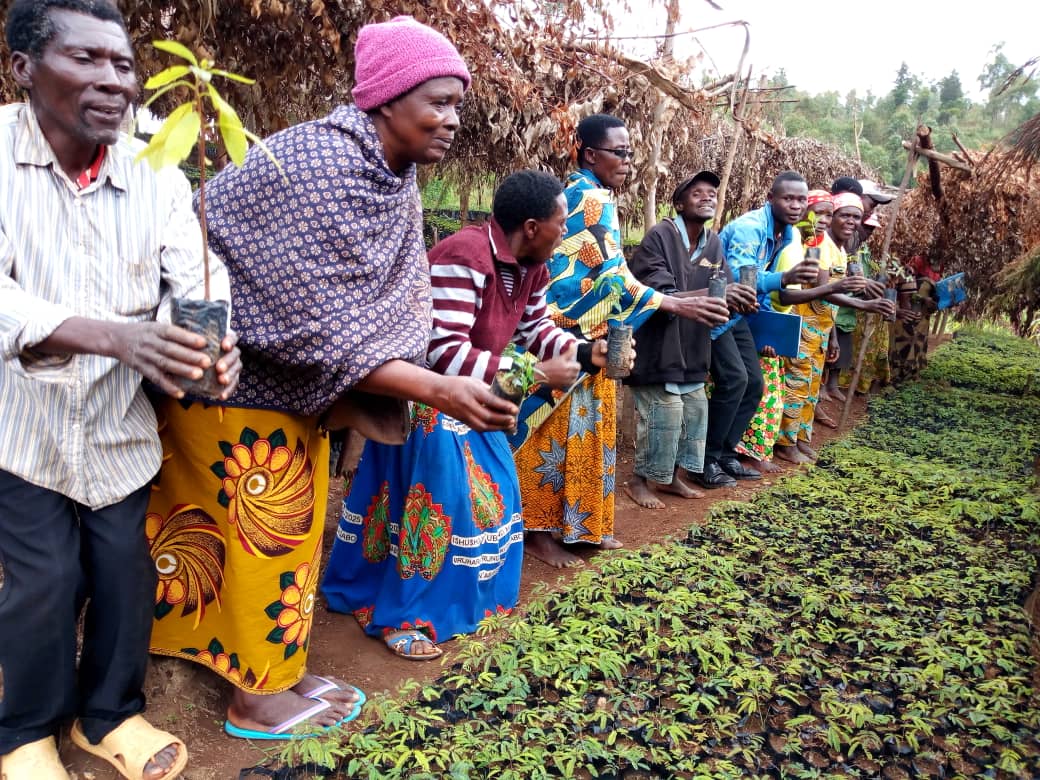 Adoption of the culm-segment cutting method has allowed community nurseries to rapidly increase bamboo production, resulting in almost 50,000 new seedlings across three provinces.