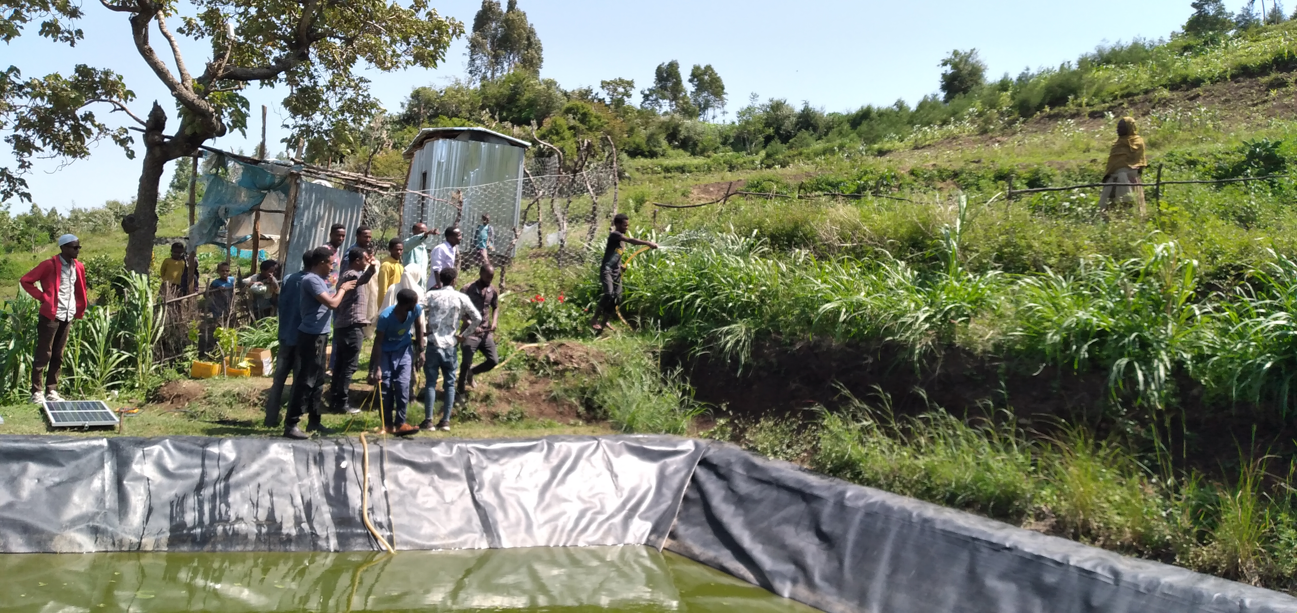 Visiteurs à la ferme d'Aliyi Mohammed. Crédit : Chali Keneni, Coordinateur de Projet pour le district de Doba, Éthiopie.