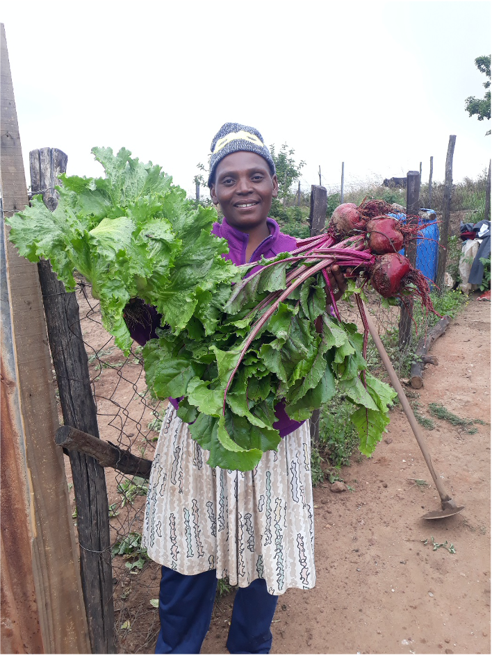 Bonelike Nkumane’s permaculture garden is full of organic cabbages, chillies, peppers, beetroot, lettuce, tomatoes, strawberries and herbs.