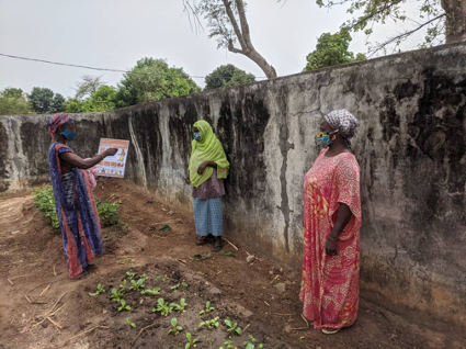 Group leaders from Senegal’s Farmer Field School sites are using the recently disseminated “FAO Guidelines to Running Farmer Field Schools in the Time of COVID” resources. Mother Awa N’Diaye explains this flyer to her 35 farmers at Kande Clinic site, in a rotation of smaller groups, as they prepare to transition back into group meetings.explains this flyer to her 35 farmers at Kande Clinic site, in a rotation of smaller groups, as they prepare to transition back into group meetings.