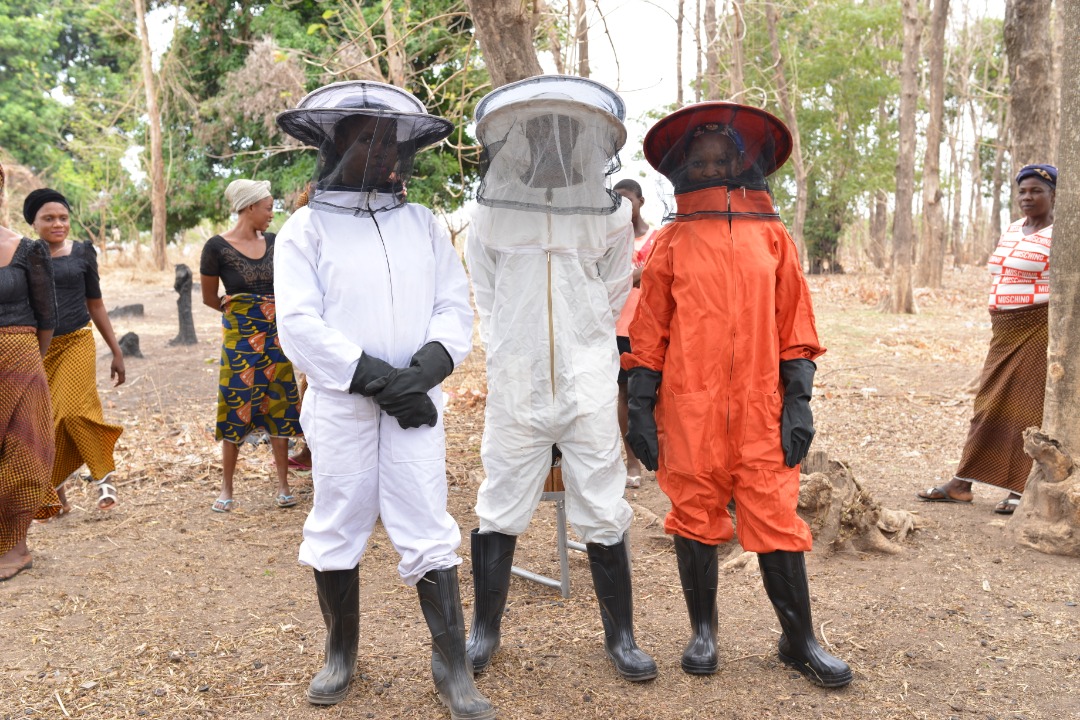 80% of RFS Nigeria project beneficiaries working in beekeeping are women. (Photo credit: UNDP Nigeria)